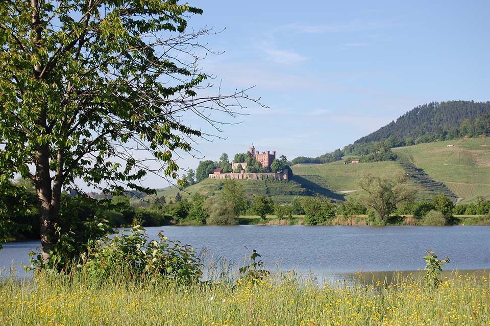 Blick auf Schloss Ortenberg